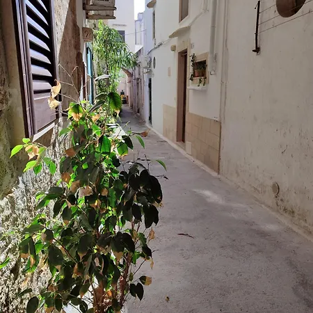 Panzió Punta Cutieri